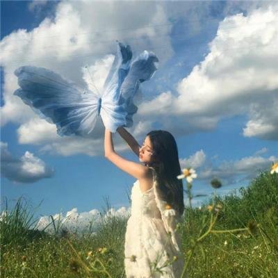 霹雳玫瑰